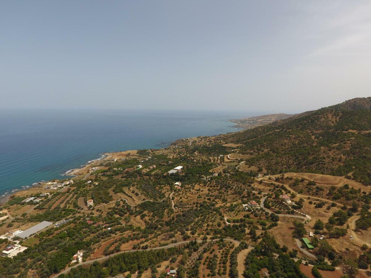 Martika Luxury Villa Agia Marina  Eksteriør billede